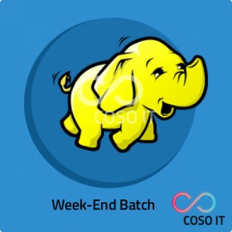 Big Data and Hadoop Developer Weekend Batch